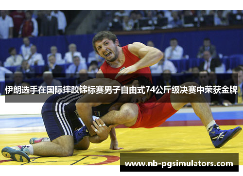 伊朗选手在国际摔跤锦标赛男子自由式74公斤级决赛中荣获金牌