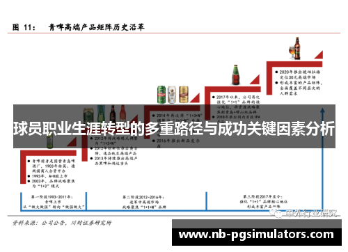 球员职业生涯转型的多重路径与成功关键因素分析