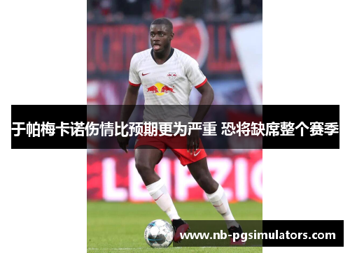 于帕梅卡诺伤情比预期更为严重 恐将缺席整个赛季