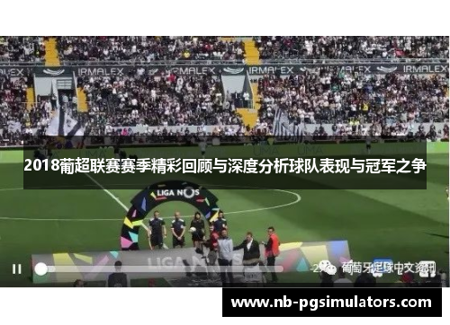 2018葡超联赛赛季精彩回顾与深度分析球队表现与冠军之争