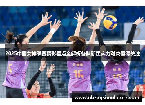 2025中国女排联赛精彩看点全解析各队新星实力对决值得关注
