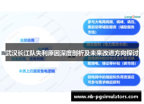 武汉长江队失利原因深度剖析及未来改进方向探讨