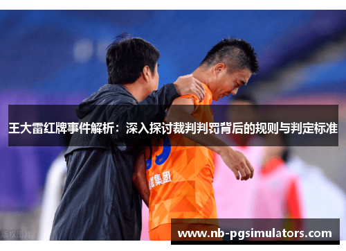 王大雷红牌事件解析：深入探讨裁判判罚背后的规则与判定标准