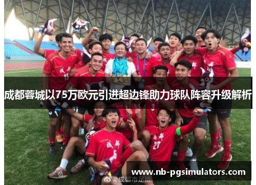 成都蓉城以75万欧元引进超边锋助力球队阵容升级解析