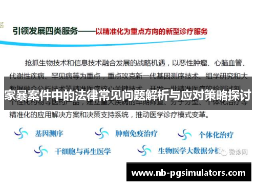 家暴案件中的法律常见问题解析与应对策略探讨