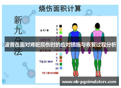 波普在面对肾脏损伤时的应对措施与恢复过程分析