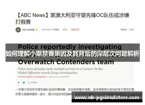 如何理解小斯禁赛原因及其背后的深层次问题解析