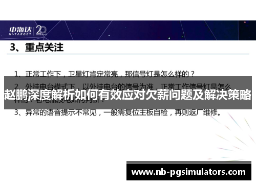 赵鹏深度解析如何有效应对欠薪问题及解决策略