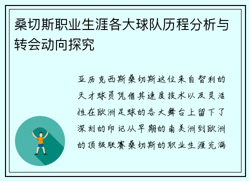 桑切斯职业生涯各大球队历程分析与转会动向探究