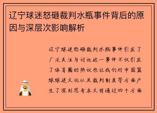 辽宁球迷怒砸裁判水瓶事件背后的原因与深层次影响解析