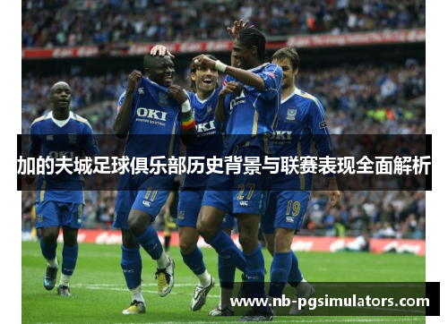 加的夫城足球俱乐部历史背景与联赛表现全面解析