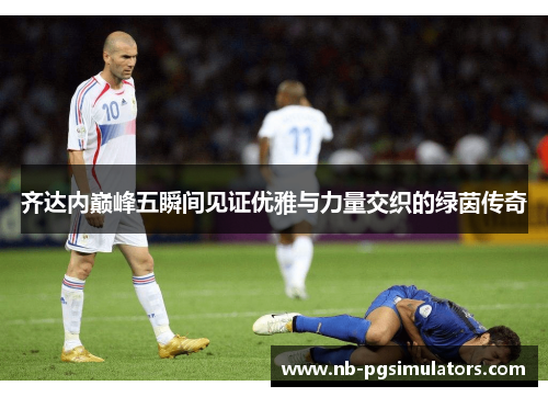 齐达内巅峰五瞬间见证优雅与力量交织的绿茵传奇