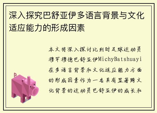 深入探究巴舒亚伊多语言背景与文化适应能力的形成因素
